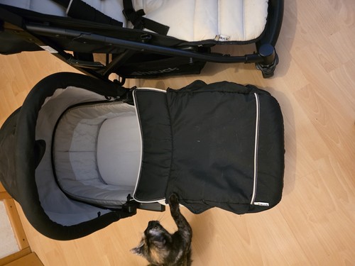 Hauck kinderwagen mit - hauck,