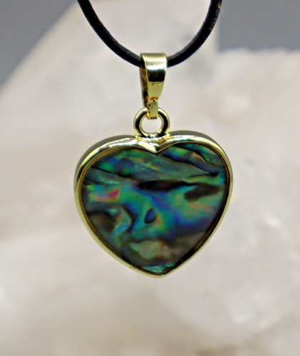 Paua muschel abalone - paua,