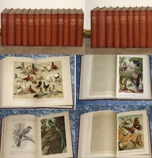 BREHMS TIERLEBEN KOMPLETT IN