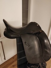 Hintermayer anatomic - hintermayer,