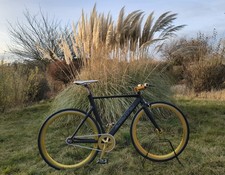 Aventon Mataro – Custom