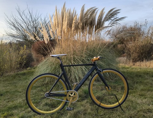 Aventon mataro custom - –,