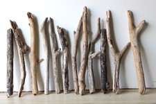 Treibholz Schwemmholz