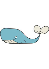 5x car sticker whale sticker