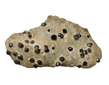 Almandin xx topp Handstück von Jesenik  Altvatergebirge Mähren in Tschechien