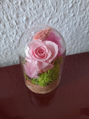 Rose glaskuppel - im,