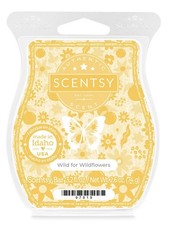 Scentsy bar wild for - ,