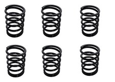 Kupplungsfeder Satz EU