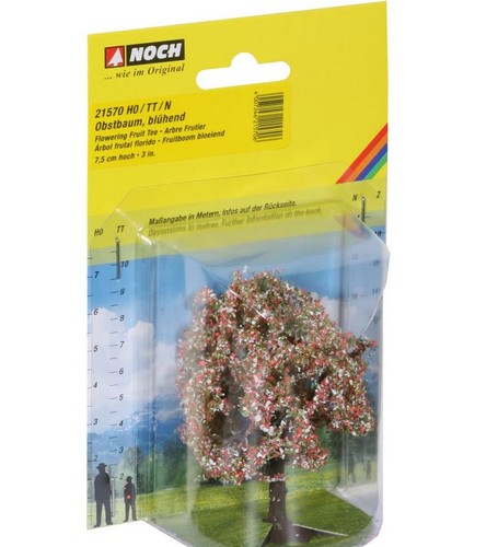 Noch 21570 obstbaum blühend - noch,