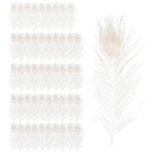 50 StüCke / NatüRliche