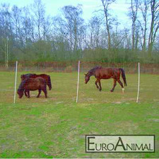 Pferdenetz Weidenetz Spezial