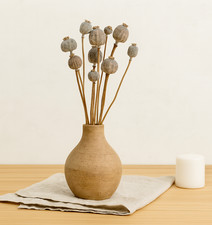 Mohnkapseln „Giant“