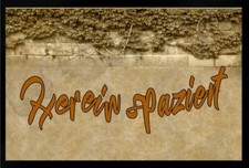 Fußmatte Schmutzfangmatte rutschfest Herein spaziert F212