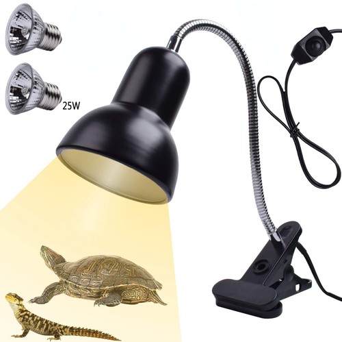 Schildkröten wärmelampe - schildkröten,