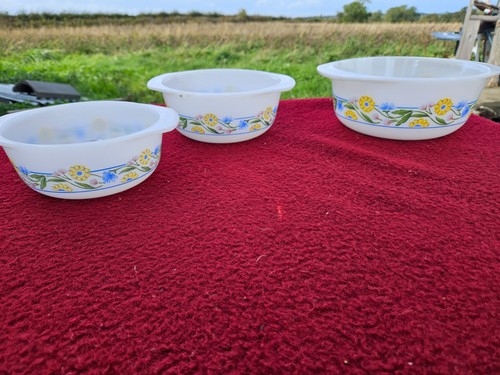 Arcuisne milchglas pyrex - pyrex, stil