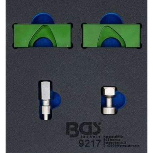 Bgs wageneinlage - bgs,