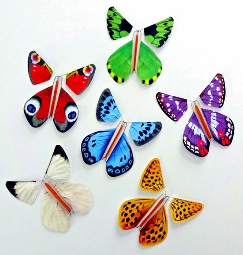 The magic butterfly fliegender - the,