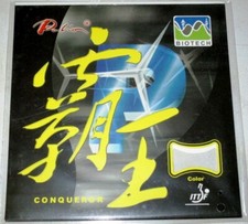 wie NEU Palio Conqueror