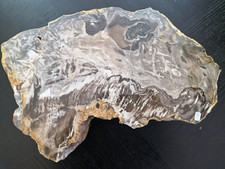 💥7kg VERSTEINERTES Holz