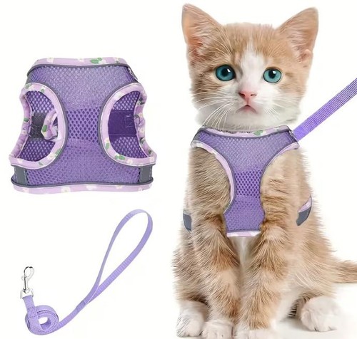 Hundegeschirr katzengeschirr - hundegeschirr,
