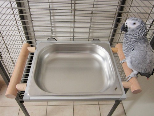 Papageienspielzeug badewanne - papageienspielzeug,,
