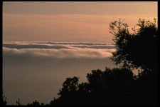 144081 Big Sur Coast Coastal