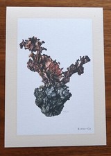 KUPFER , Cu,  Mineralien *