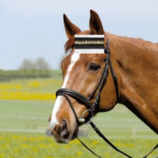 Kieffer Trense Comfort I