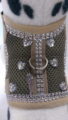 Hundegeschirr glitzer khaki - s,