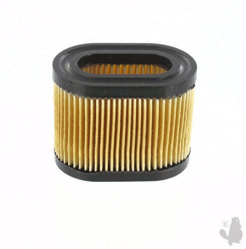 Greenstar 5423 luftfilter für - greenstar,