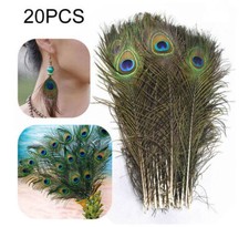 20Pcs Natur-Pfauenfedern