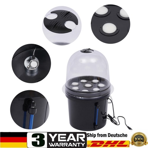Pflanzen aeroponic hydroponic - pflanzen,