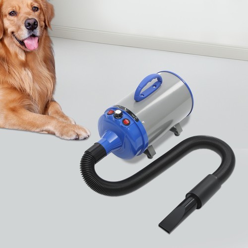 Hundekatzen-Haartrockner