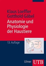 Anatomie und Physiologie der