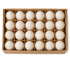 24 Stück Weiße Ausgeblasene