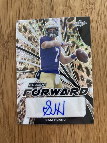 Sam huard auto leopard - /5,