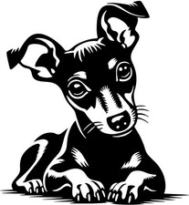 Zwergpinscher aufkleber - zwergpinscher,
