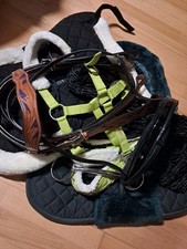 Pferdezubehör Konvolut