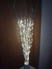 Zwel Zweige Mit Led Lichter  Ca.100 Cm Hoch Gegen Abholung  Echtzeit Überweisung