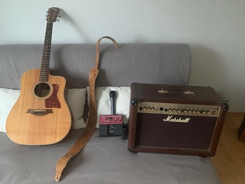 Taylor 210ce
