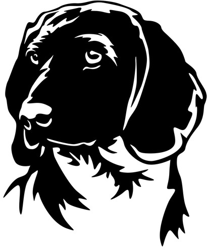 BAYERISCHER
