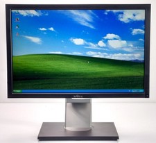 Dell P1911 19'' Professional 16:10 TFT PC Monitor DVI VGA 1440x900 Mit Kratzer