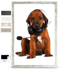 Bilderrahmen Galeria53 Holz MDF Foto Poster Portrait Rahmen Zeitlos Modern