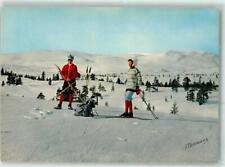 39435819 - Bolkesjo in Telemark Ski