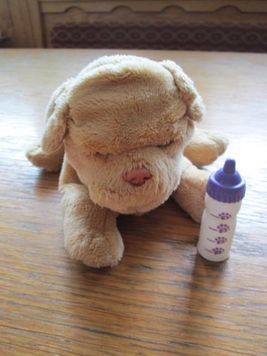 Furreal hundebaby mit - furreal, flasche
