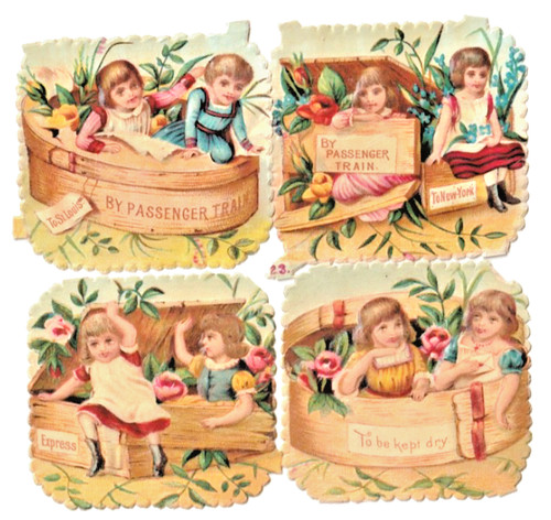Oblate scrap die cut - oblate,