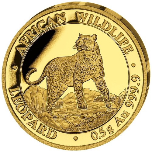 Goldmünze leopard african - goldmünze,