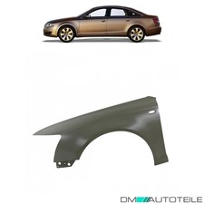 Kotflügel vorne links passt