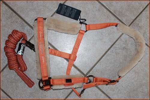 Eskadron halfter set - eskadron,