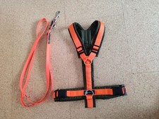 Annyx Geschirr L Orange Olive Hunter Leine Biothane Orange